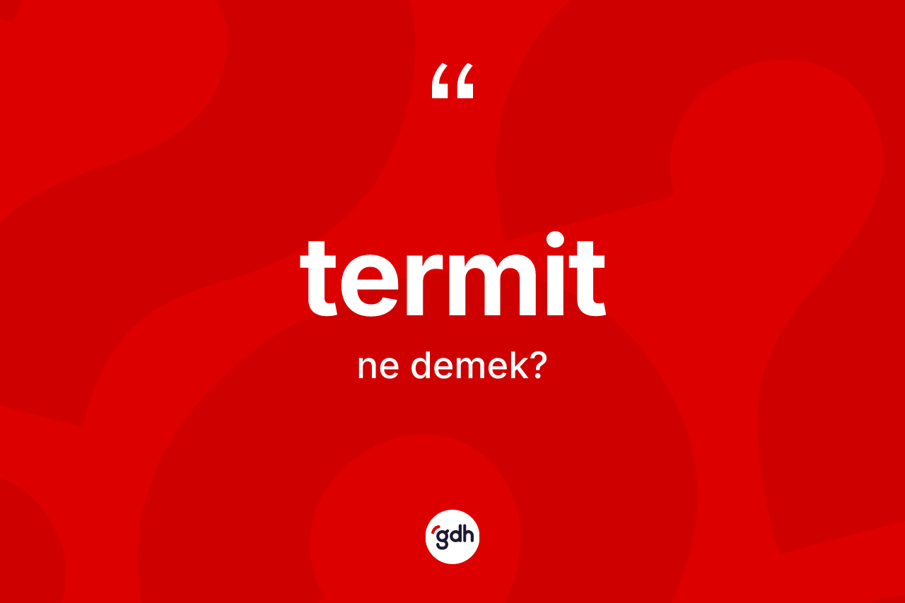 Termit kelimesinin tanımı nedir? Termitin TDK'ya göre anlamı nedir?