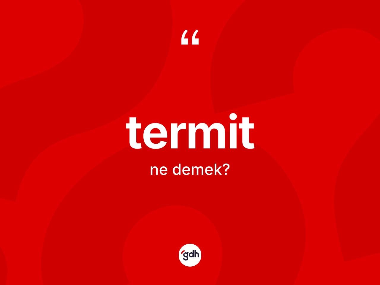 Termit kelimesinin tanımı nedir? Termitin TDK'ya göre anlamı nedir?