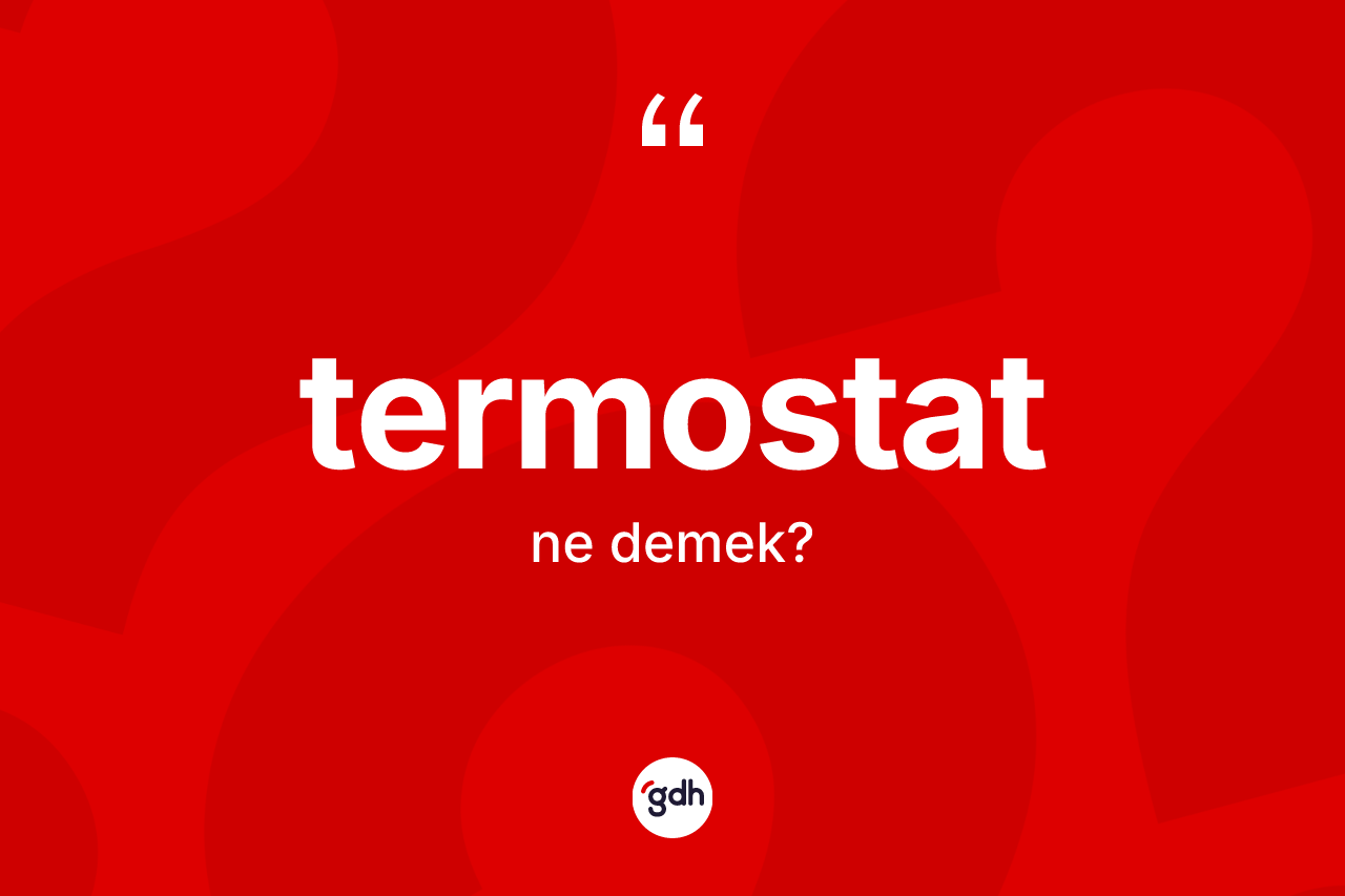Termostat ne anlama gelir? Termostatın TDK'ya göre anlamı nedir?