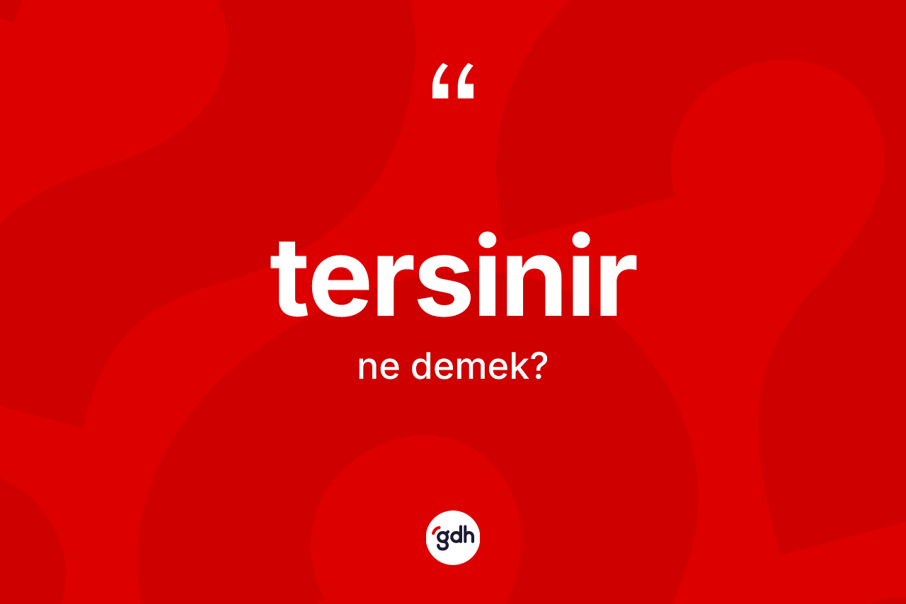 Tersinir kelimesi nedir? Tersinir kelimesinin TDK anlamı nedir?