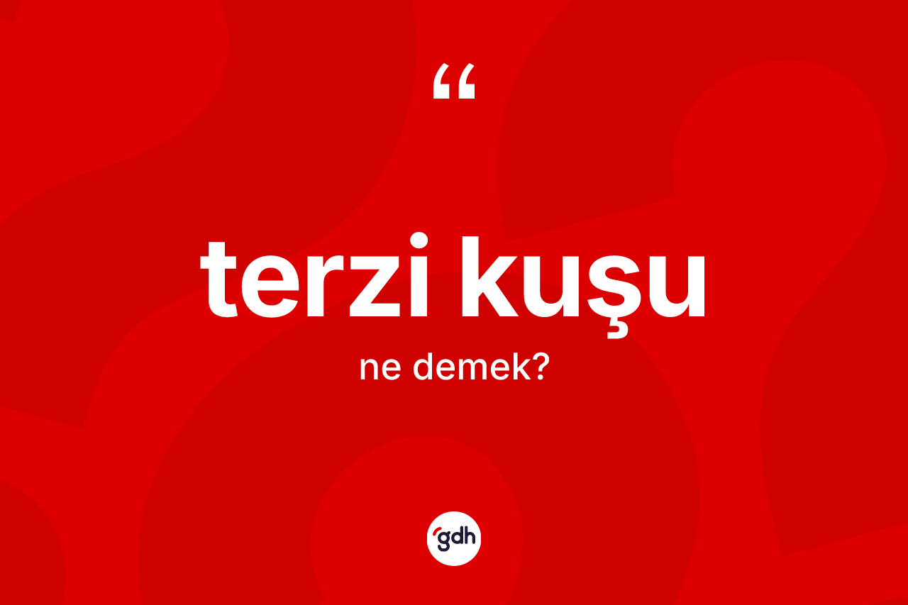 Terzi kuşu kelimesinin sözlükteki tanımı nedir?