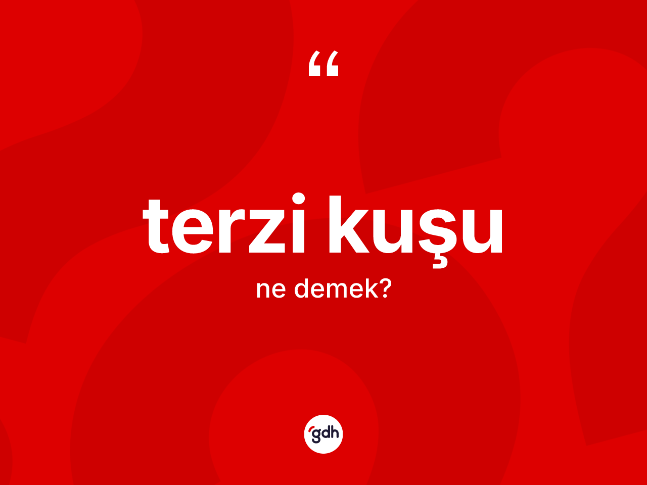Terzi kuşu kelimesinin sözlükteki tanımı nedir? Terzi kuşunun sözlükteki anlamı nedir?