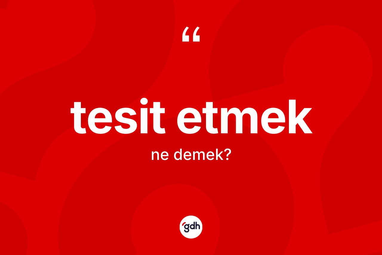 Tesit etmek ifadesinin sözlükteki anlamı nedir? Tesit etmek ifadesi nerede kullanılır?
