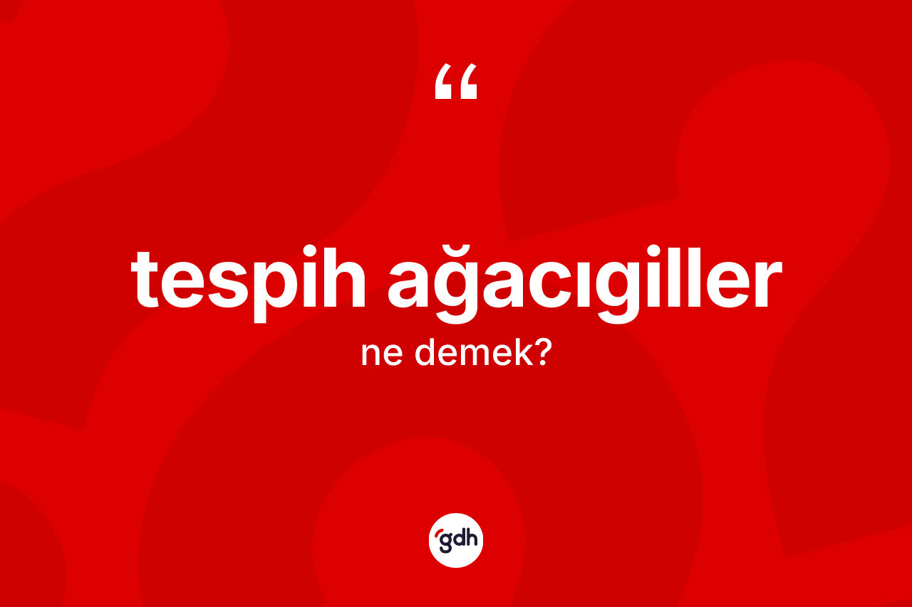 Tespih ağacıgiller kelimesi ne anlama gelir?