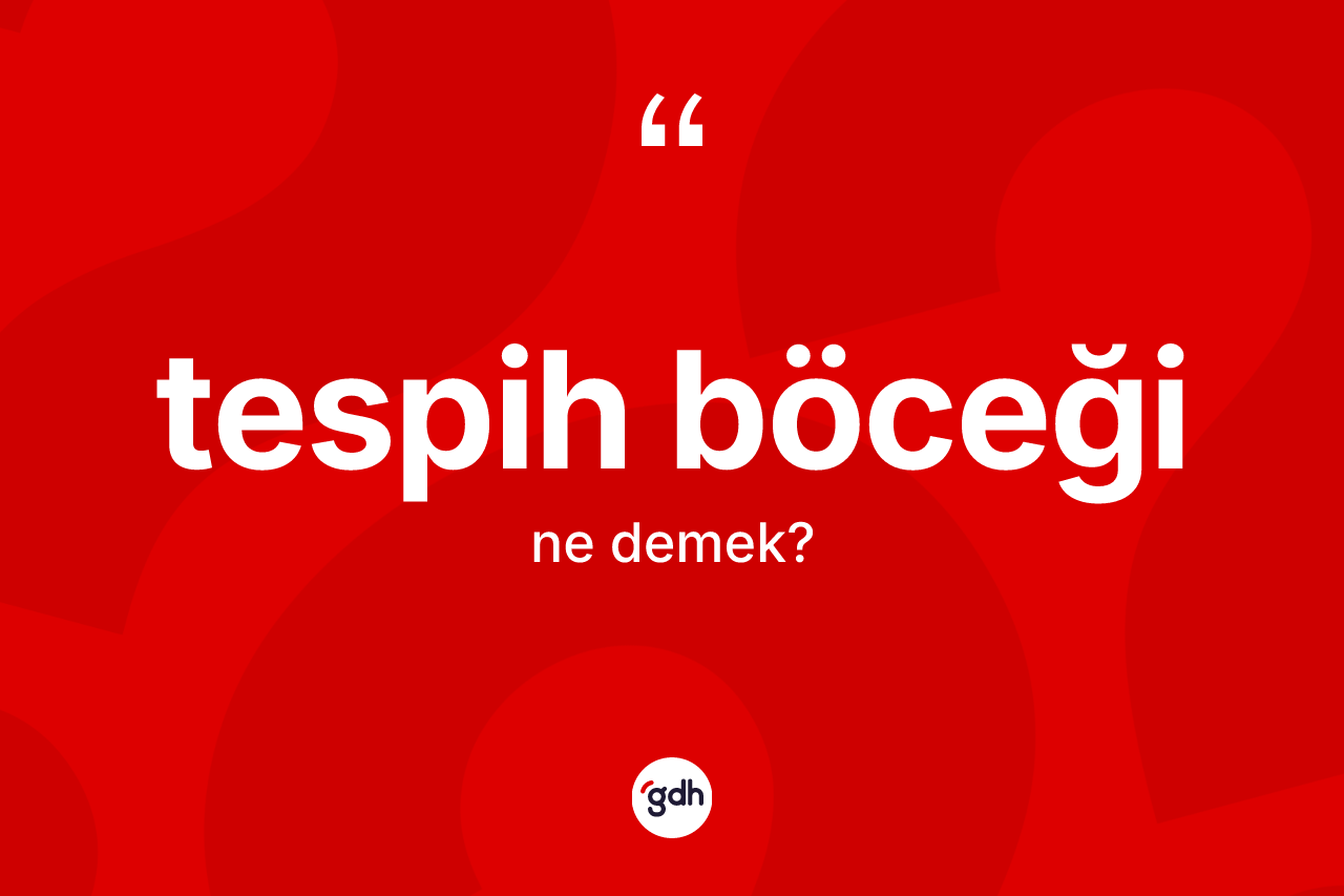 Tespih böceği kelimesi nedir? Tespih böceğinin TDK'ya göre anlamı nedir?