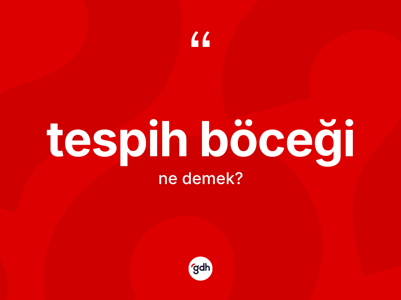 Tespih böceği kelimesi nedir? Tespih böceğinin TDK'ya göre anlamı nedir?