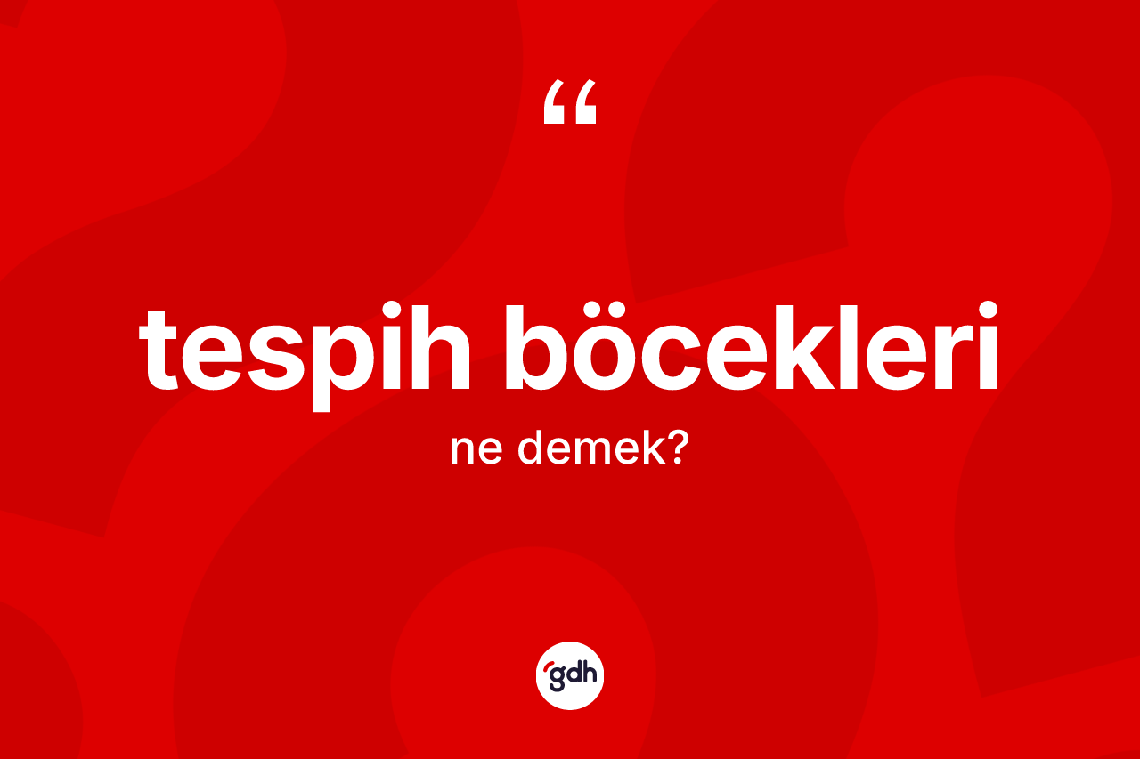 Tespih böcekleri kelimesi nedir? Tespih böceklerinin kısaca tanımı nedir?