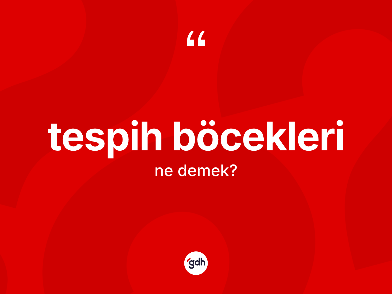 Tespih böcekleri kelimesi nedir? Tespih böceklerinin kısaca tanımı nedir?