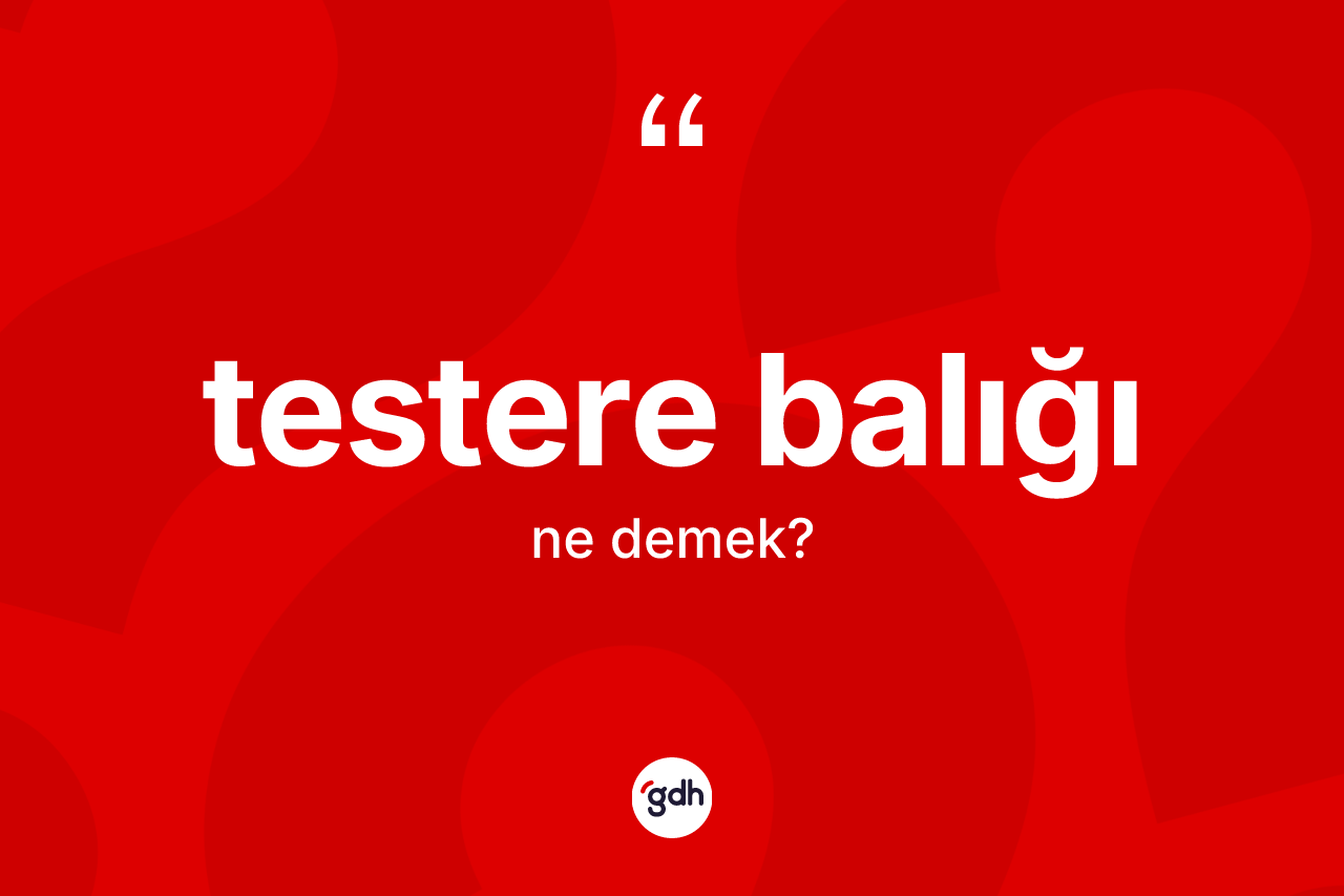 Testere balığı kelimesinin tanımı nedir? Testere balığının kısaca tanımı nedir?