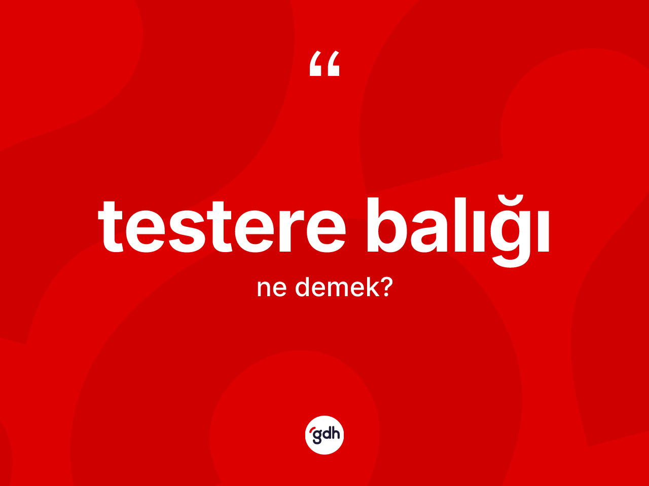 Testere balığı kelimesinin tanımı nedir? Testere balığının kısaca tanımı nedir?