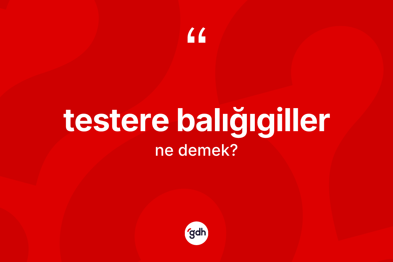 Testere balığıgiller kelimesinin sözlükteki tanımı nedir?