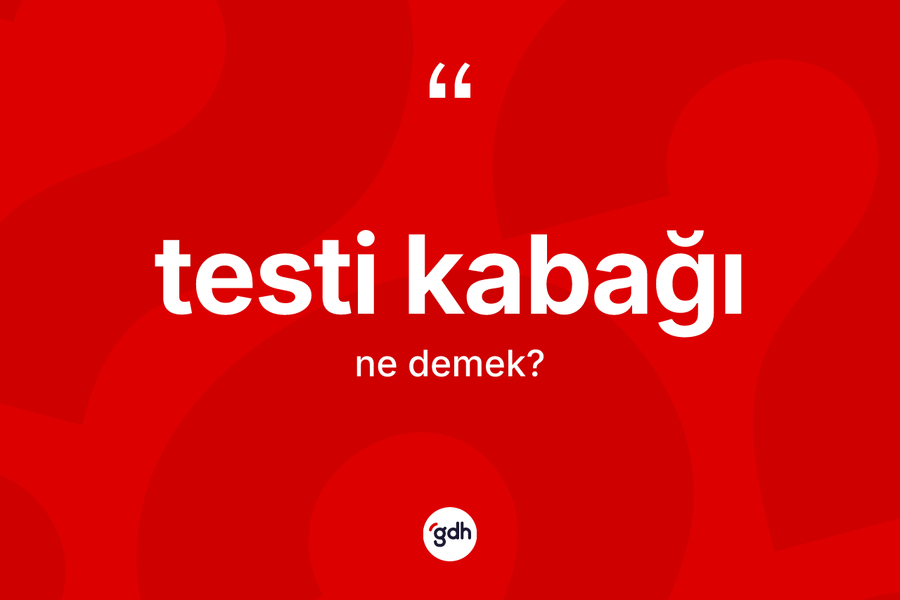 Testi kabağı kelimesinin sözlükteki tanımı nedir? Testi kabağının halk arasındaki kullanımı nasıldır?