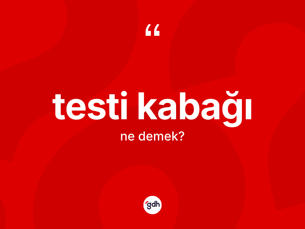 Testi kabağı kelimesinin sözlükteki tanımı nedir? Testi kabağının halk arasındaki kullanımı nasıldır?