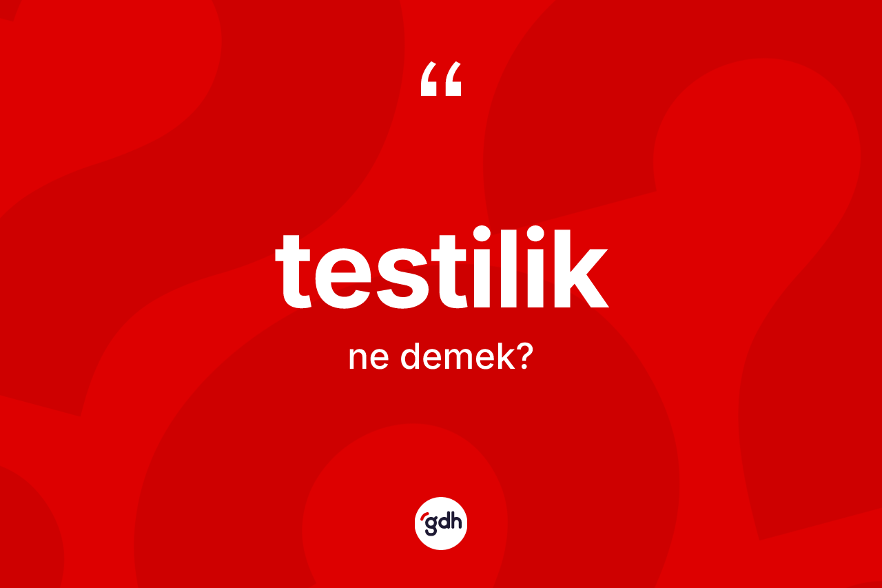 Testilik kelimesi ne anlama gelir? Testiliğin TDK'ya göre anlamı nedir?
