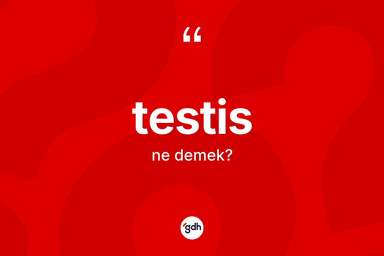 Testis kelimesinin anlamı nedir? Testisin kısaca tanımı nedir?