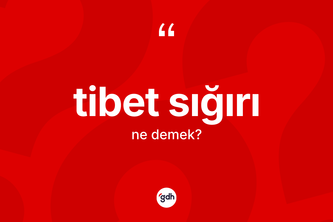 Tibet sığırı kelimesi ne anlama gelir? Tibet sığırının TDK'ya göre anlamı nedir?