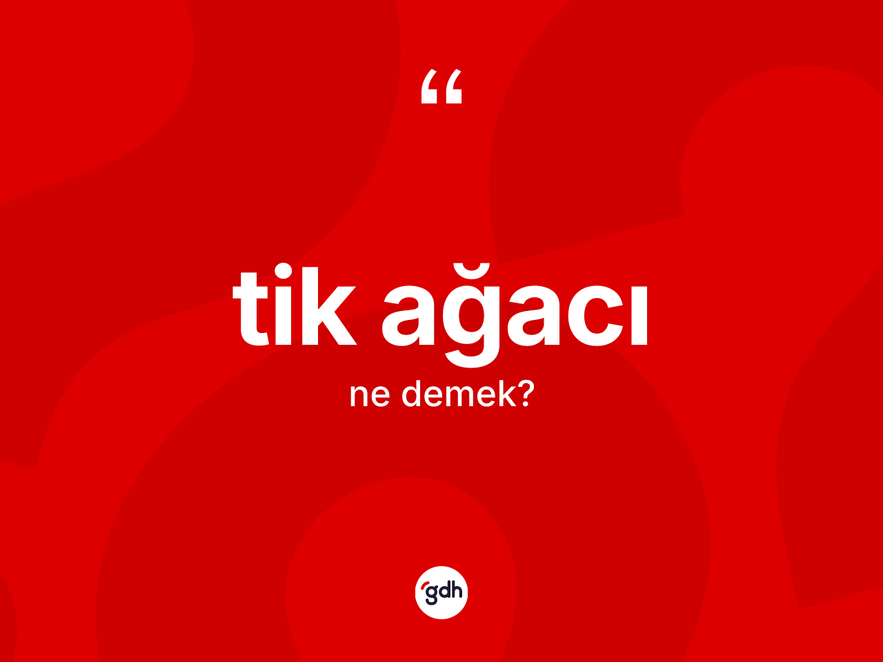 Tik ağacı kelimesi ne anlama gelir? Tik ağacı kelimesinin özellikleri nelerdir?