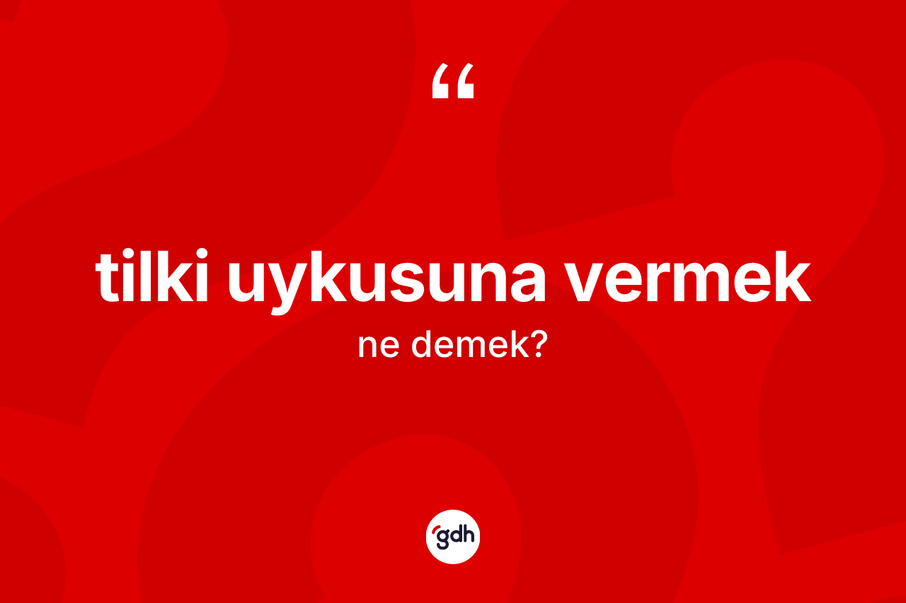 Tilki uykusuna vermek ifadesi nedir?