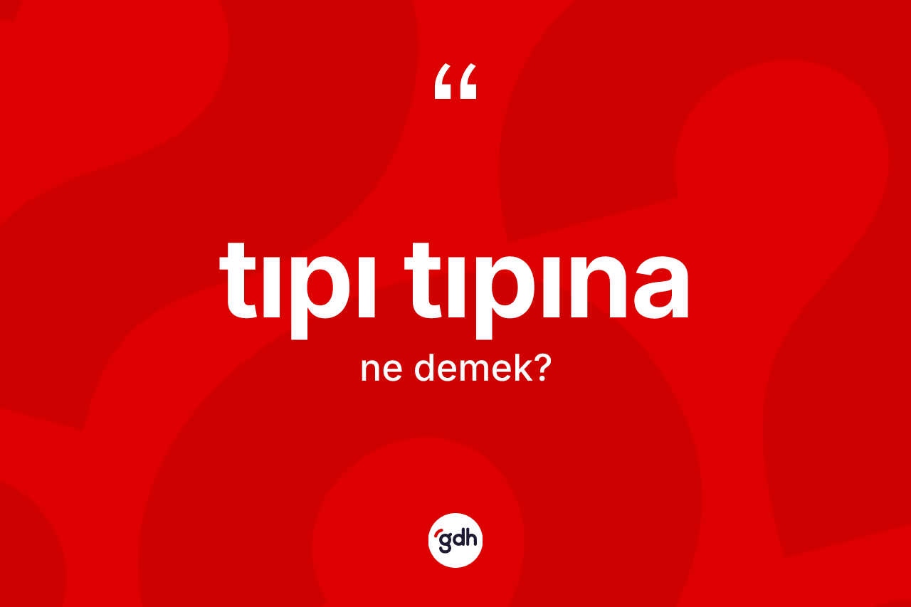 Tıpı tıpına kelimesi ne demek? Tıpı tıpına kelimesinin özellikleri nelerdir?