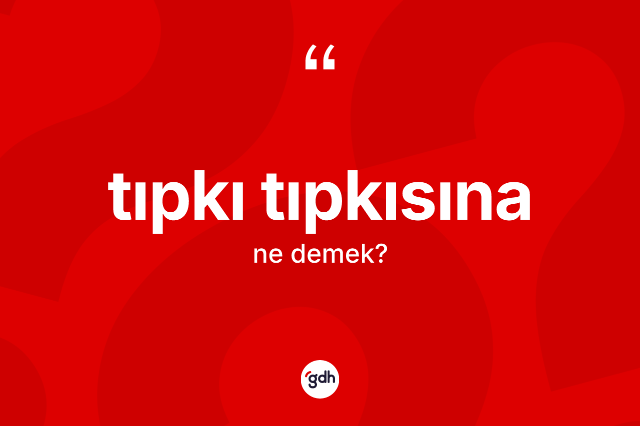Tıpkı tıpkısına kelimesinin anlamı nedir? Tıpkı tıpkısınanın TDK'ya göre anlamı nedir?
