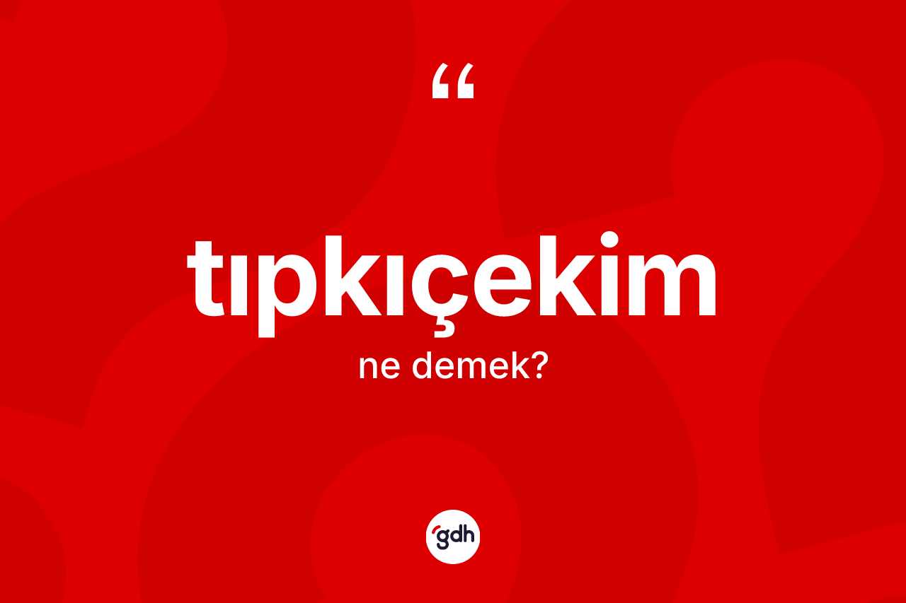 Tıpkıçekim kelimesinin anlamı nedir? Tıpkıçekim kelimesinin TDK'ya göre açıklaması nedir?