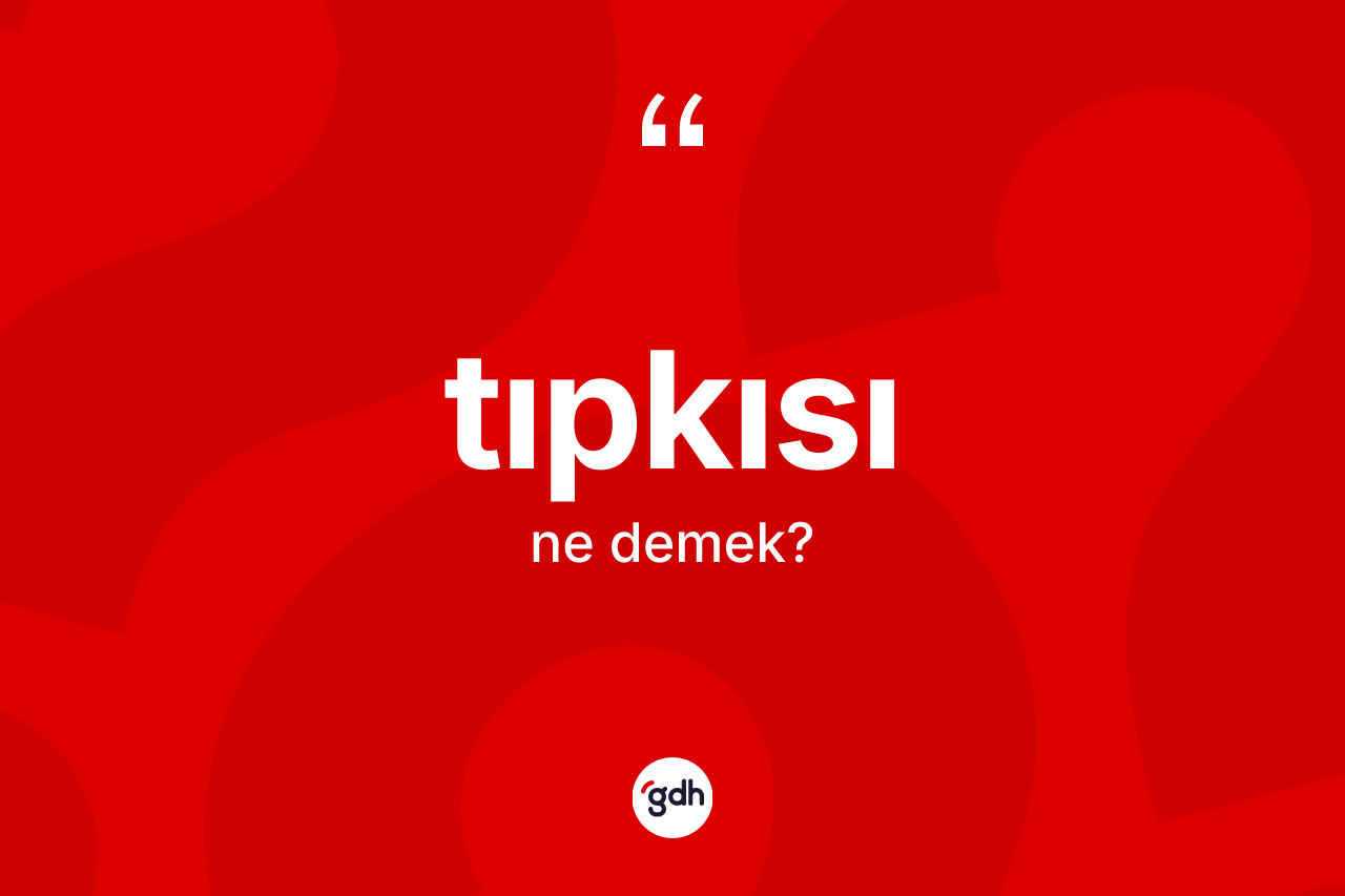 Tıpkısı kelimesi ne anlama gelir? Tıpkısı kelimesinin TDK'ya göre açıklaması nedir?