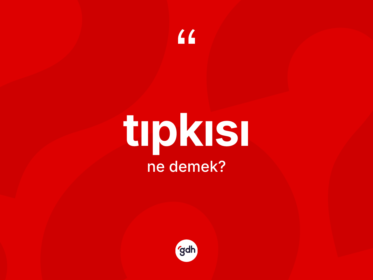 Tıpkısı kelimesi ne anlama gelir? Tıpkısı kelimesinin TDK'ya göre açıklaması nedir?