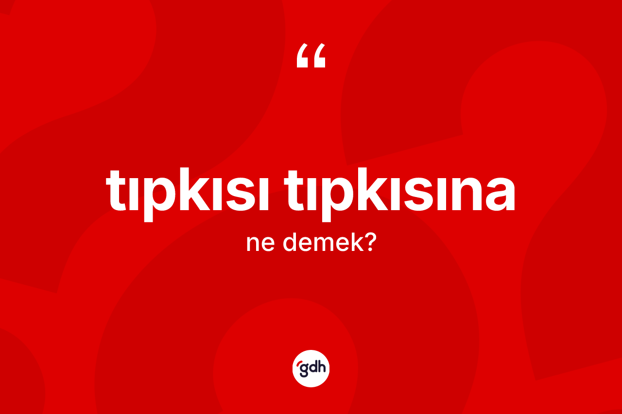 Tıpkısı tıpkısına kelimesi nedir? Tıpkısı tıpkısına kelimesinin özellikleri nelerdir?