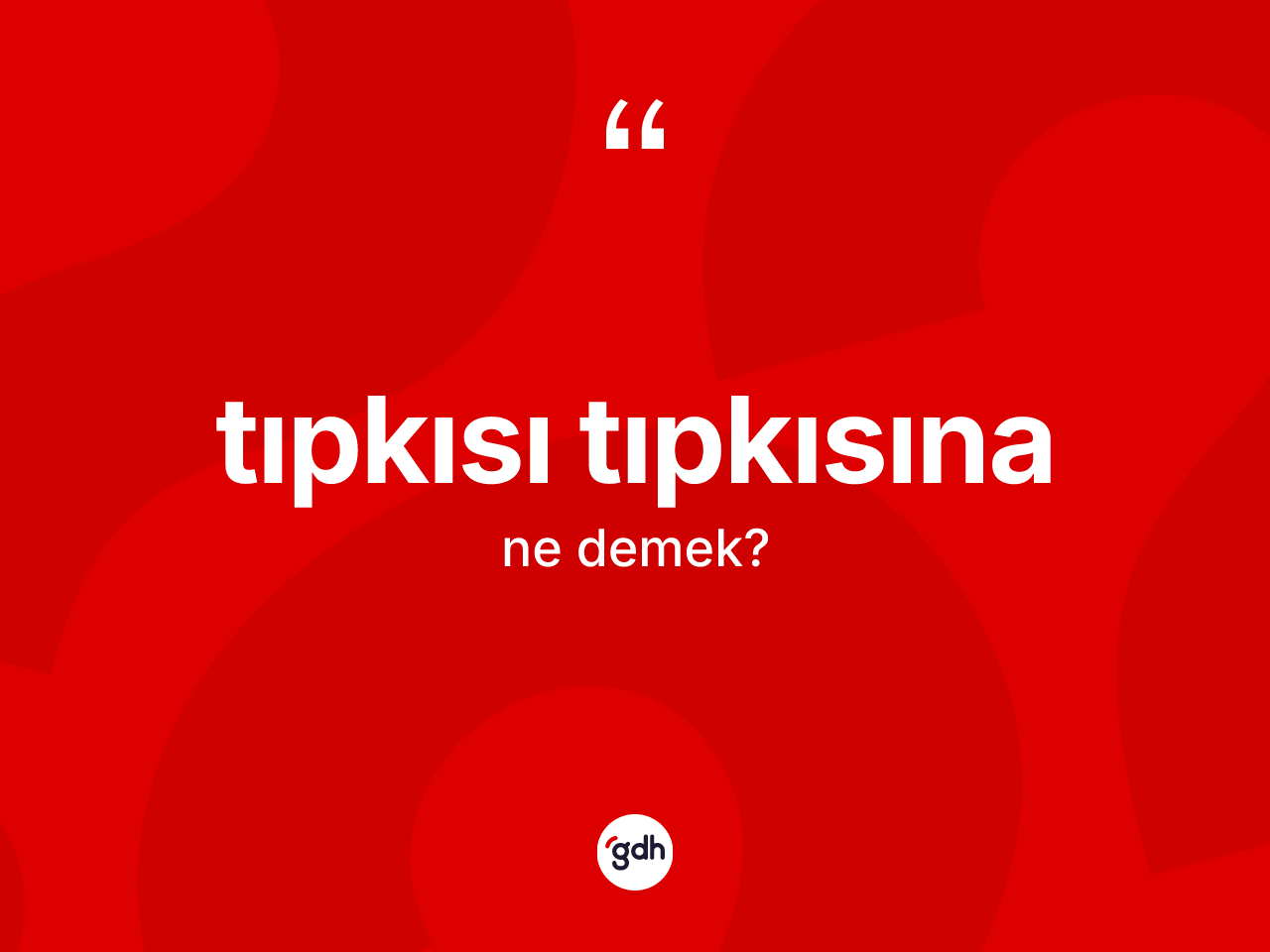 Tıpkısı tıpkısına kelimesi nedir? Tıpkısı tıpkısına kelimesinin özellikleri nelerdir?