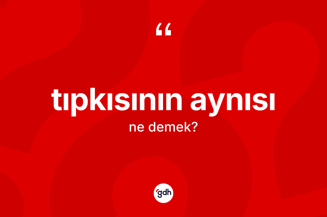 Tıpkısının aynısı kelimesinin anlamı nedir? Tıpkısının aynısının kısaca tanımı nedir?