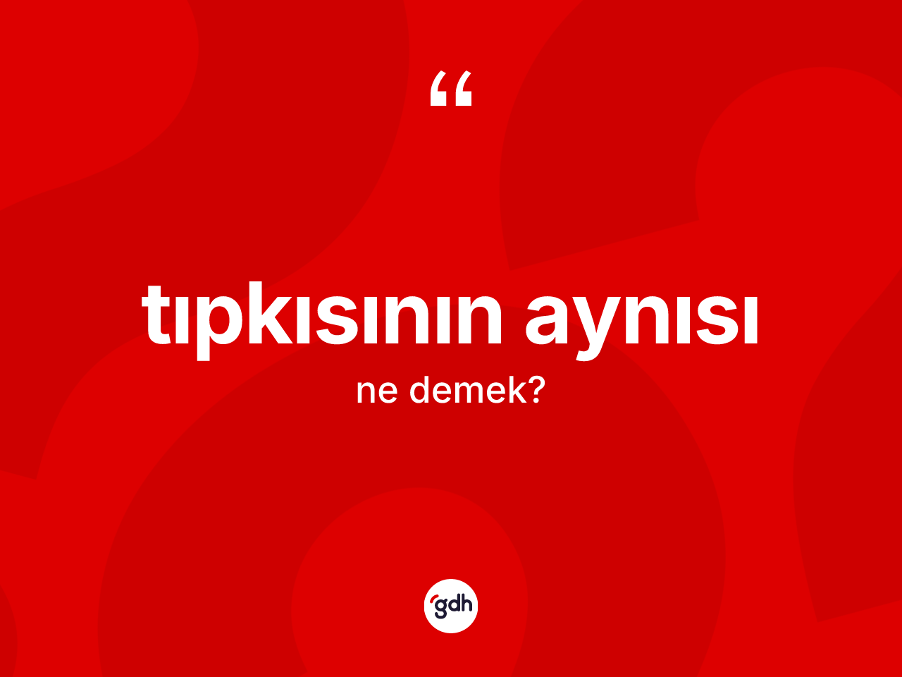 Tıpkısının aynısı kelimesinin anlamı nedir? Tıpkısının aynısının kısaca tanımı nedir?