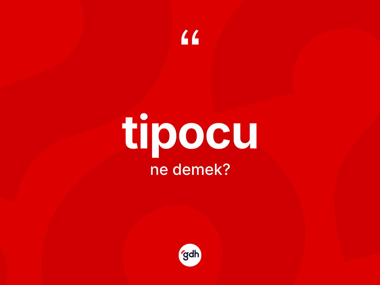 Tipocu nedir? Tipocunun TDK'ya göre anlamı nedir?