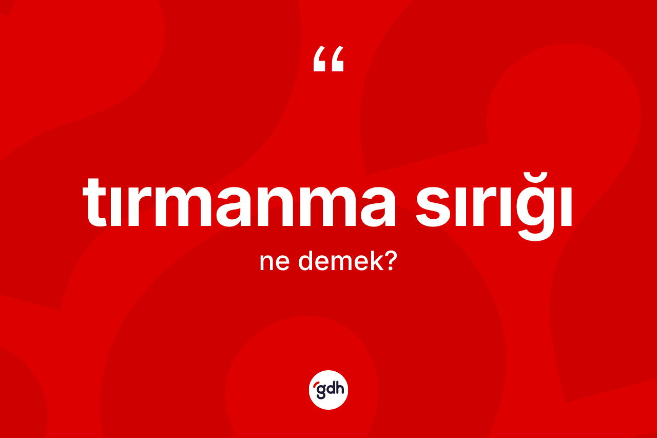 Tırmanma sırığı kelimesi nedir?