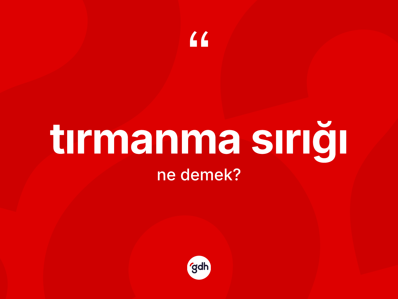 Tırmanma sırığı kelimesi nedir? Tırmanma sırığının sözlükteki anlamı nedir?