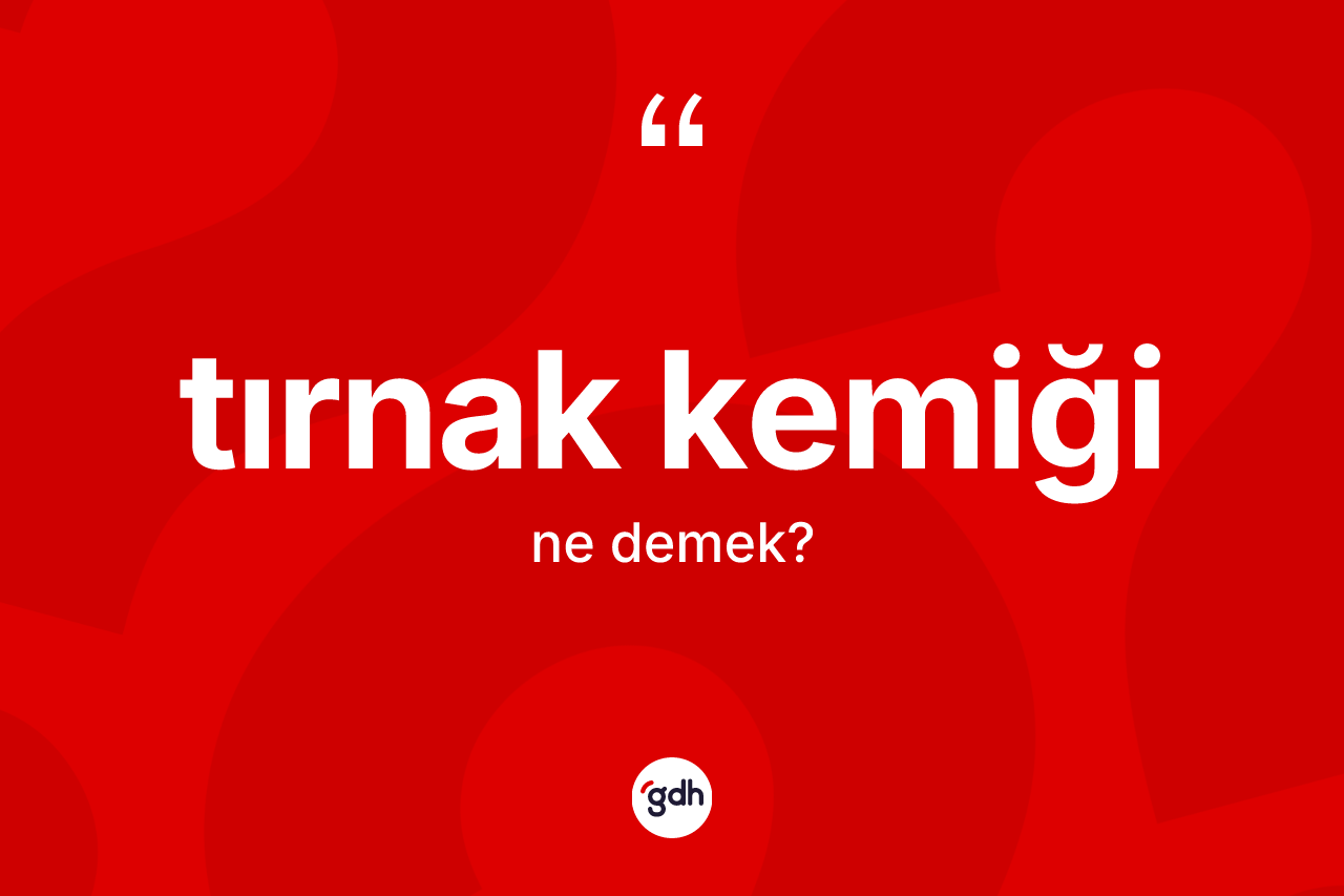 Tırnak kemiği nedir? Tırnak kemiğinin kısaca tanımı nedir?