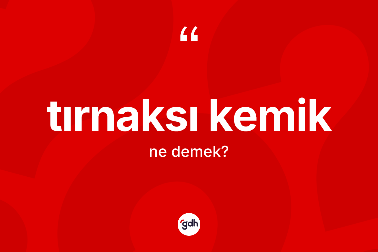 Tırnaksı kemik nedir? Tırnaksı kemiğin TDK'ya göre anlamı nedir?