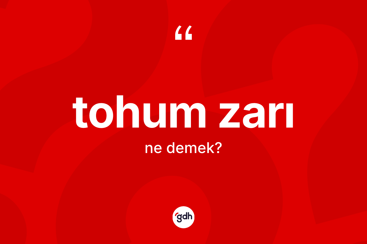 Tohum zarı kelimesinin anlamı nedir? Tohum zarının TDK'ya göre anlamı nedir?
