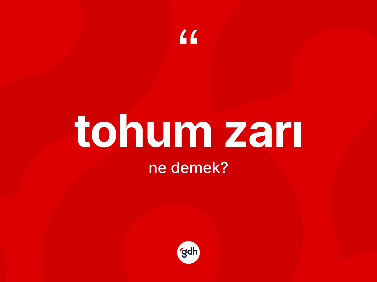 Tohum zarı kelimesinin anlamı nedir? Tohum zarının TDK'ya göre anlamı nedir?