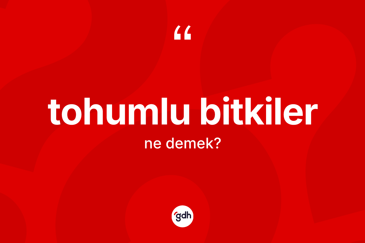 Tohumlu bitkiler kelimesi ne demek? Tohumlu bitkiler kelimesinin kaç farklı anlamı var?