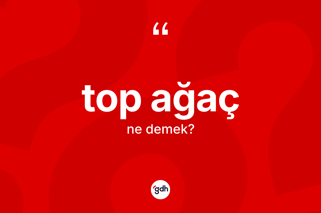 Top ağaç kelimesi ne anlama gelir? Top ağacın kısaca tanımı nedir?