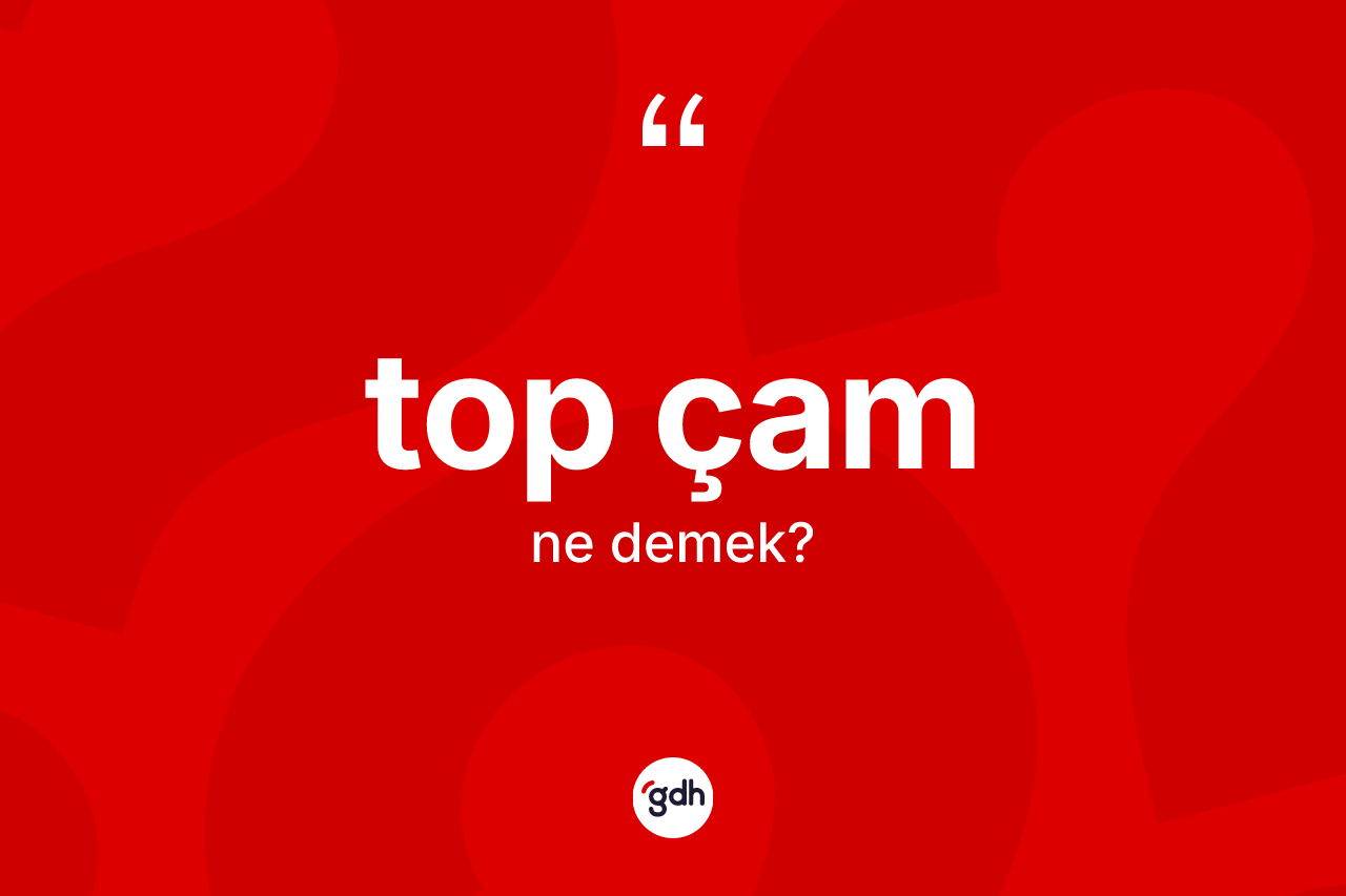 Top çam kelimesinin anlamı nedir? Top çamın TDK'ya göre anlamı nedir?