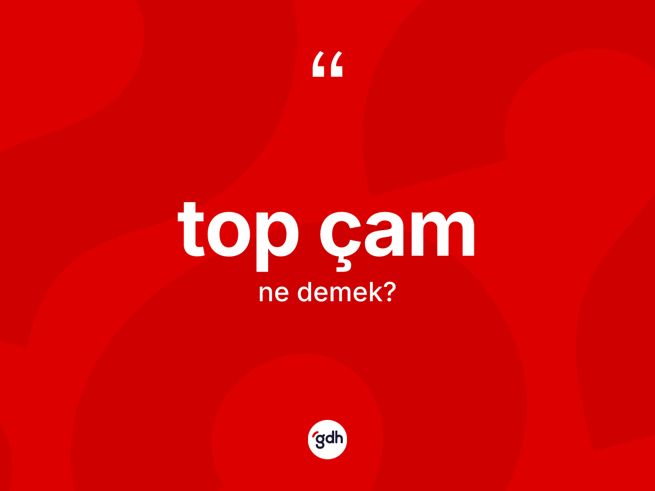 Top çam kelimesinin anlamı nedir? Top çamın TDK'ya göre anlamı nedir?