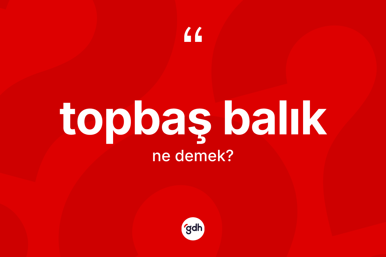 Topbaş balık ne anlama gelir? Topbaş balık kelimesinin kaç farklı anlamı var?