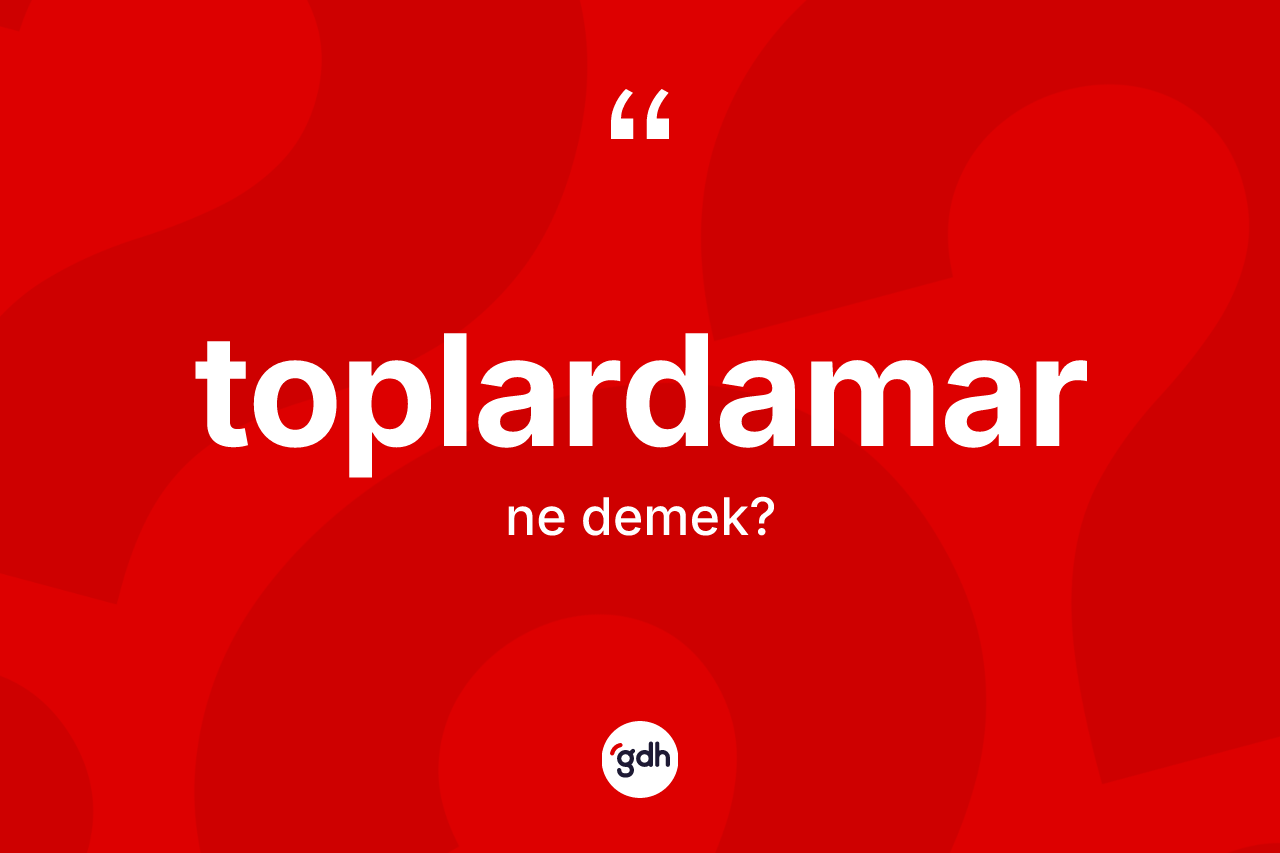 Toplardamar ne anlama gelir?