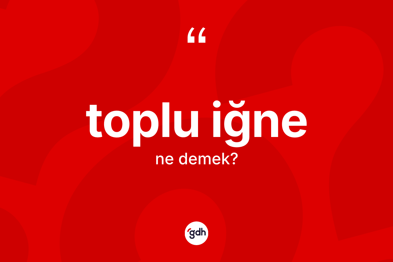Toplu iğne ne anlama gelir? Toplu iğnenin sözlükteki anlamı nedir?
