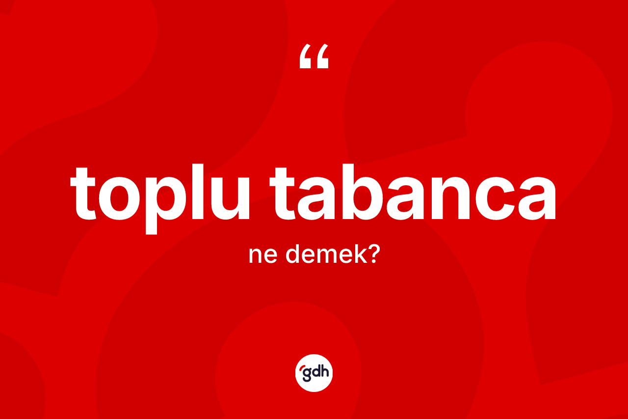 Toplu tabanca kelimesi nedir? Toplu tabancanın TDK'ya göre anlamı nedir?