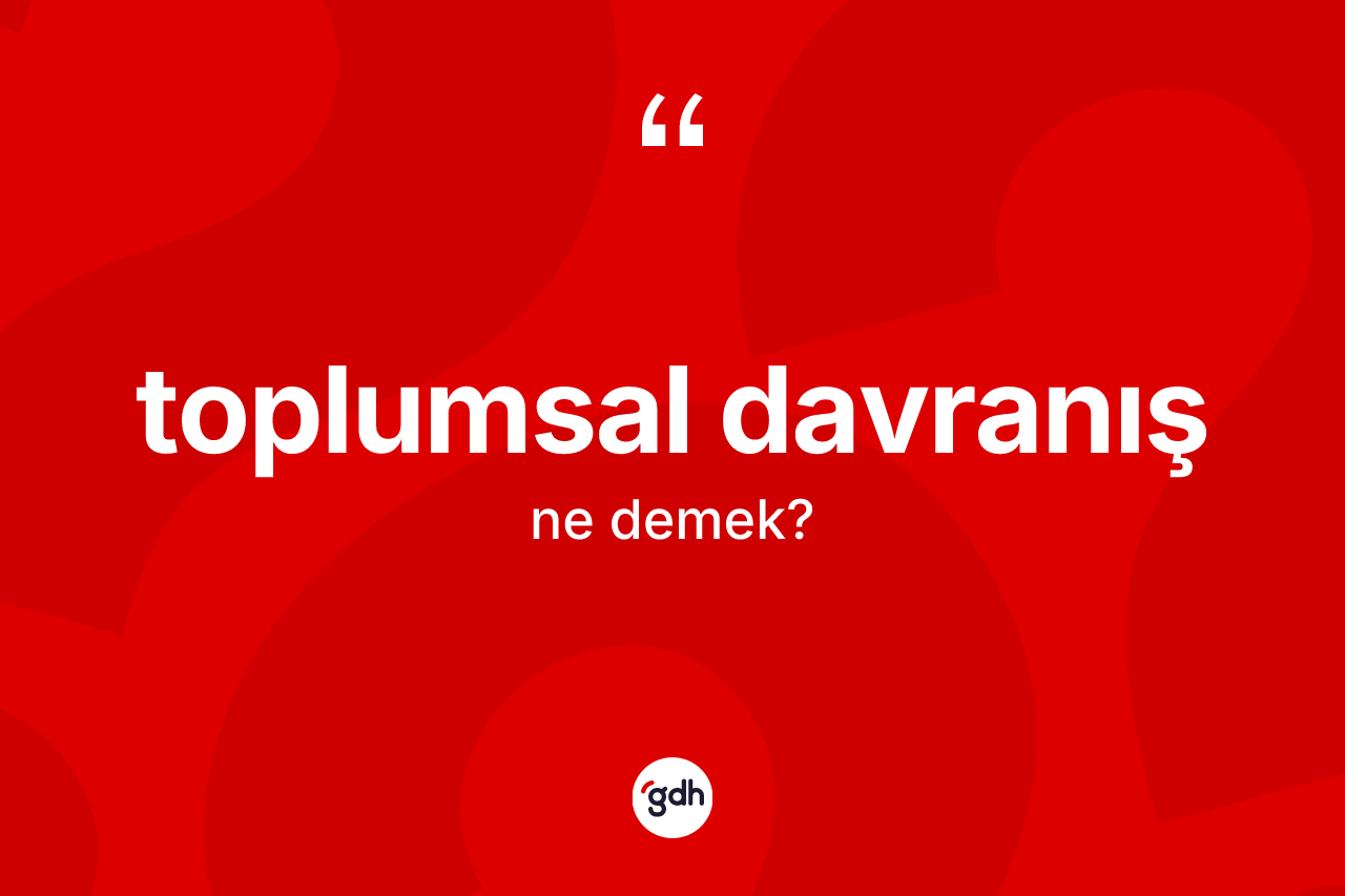 Toplumsal davranış kelimesinin sözlükteki tanımı nedir? Toplumsal davranış kelimesinin TDK anlamı nedir?