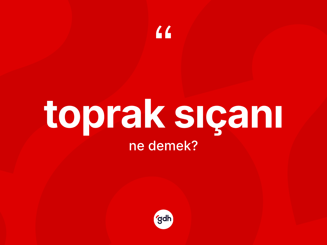 Toprak sıçanı kelimesi nedir? Toprak sıçanı kelimesinin TDK anlamı nedir?