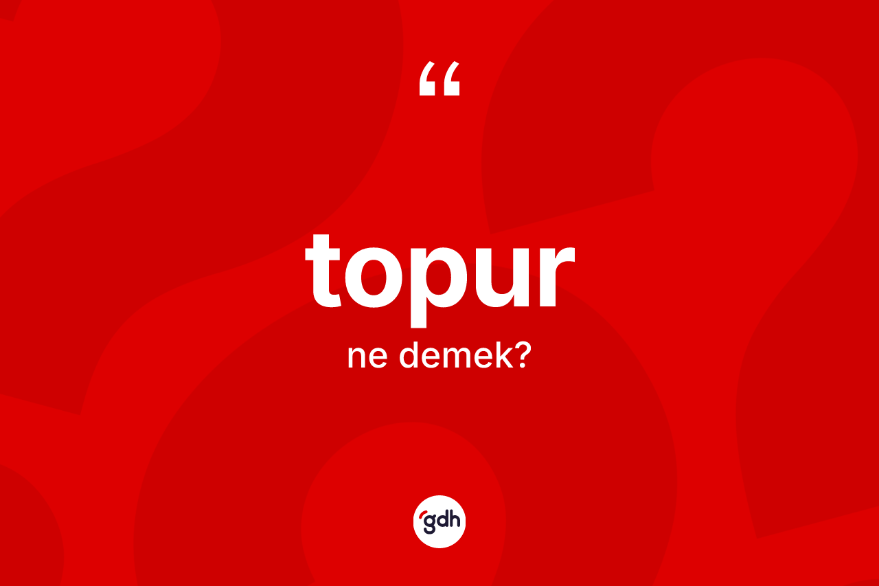 Topur kelimesinin tanımı nedir? Topurun sözlükteki anlamı nedir?