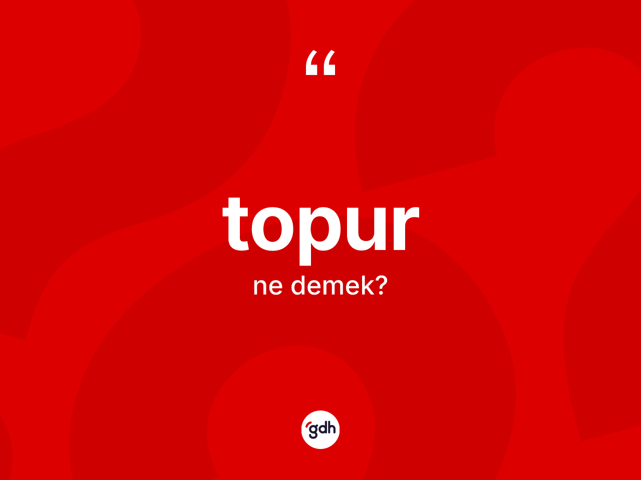 Topur kelimesinin tanımı nedir? Topurun sözlükteki anlamı nedir?